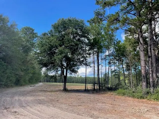 4 Hwy 45, Cross, SC 29436 - #3