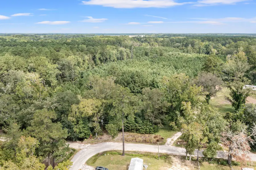 0 Edgewood Street, Walterboro, SC 29488 - #3