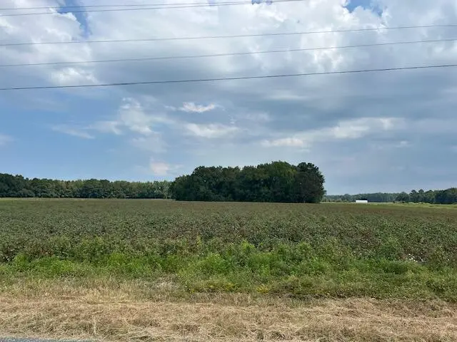 0 Cardinal Road, Elloree, SC 29047 - #2