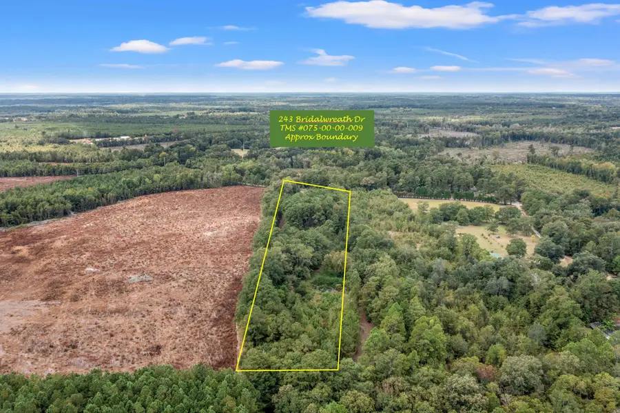 243 Bridalwreath Drive, Saint Matthews, SC 29135 - #2