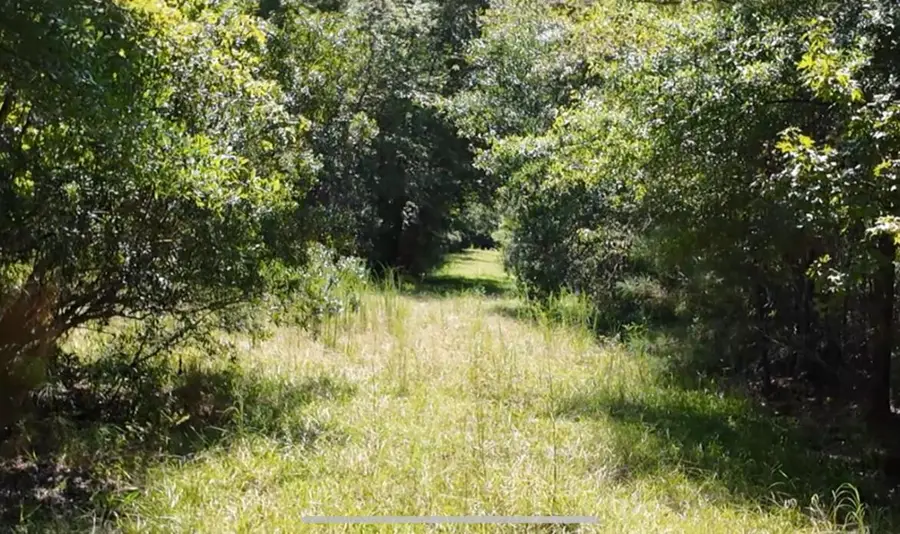 00 Misty Ridge Lane, Walterboro, SC 29488 - #2