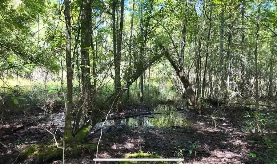 00 Misty Ridge Lane, Walterboro, SC 29488 - #3