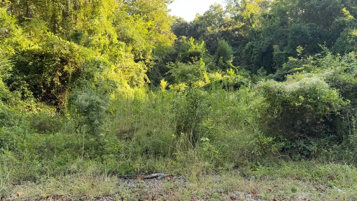 909 Black Street, Walterboro, SC 29488 - #1