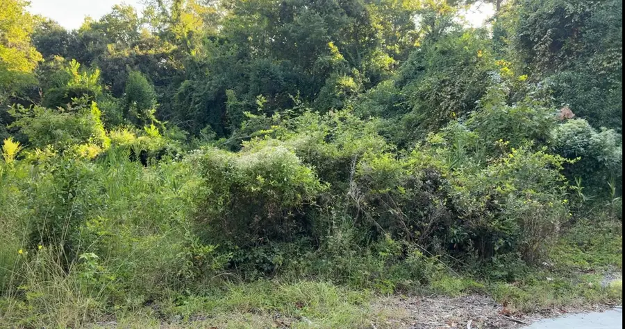 909 Black Street, Walterboro, SC 29488 - #2