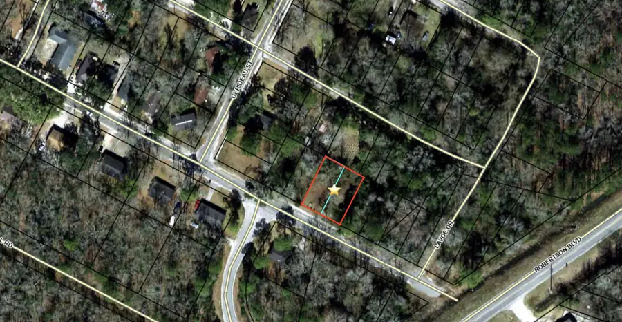 909 Black Street, Walterboro, SC 29488 - #3