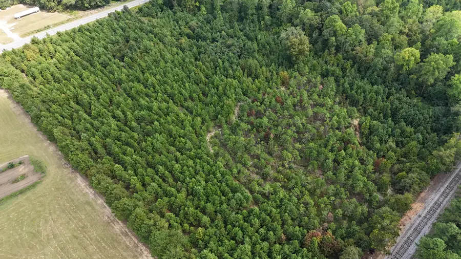 00 Old Number 6 Hwy, Elloree, SC 29047 - #3