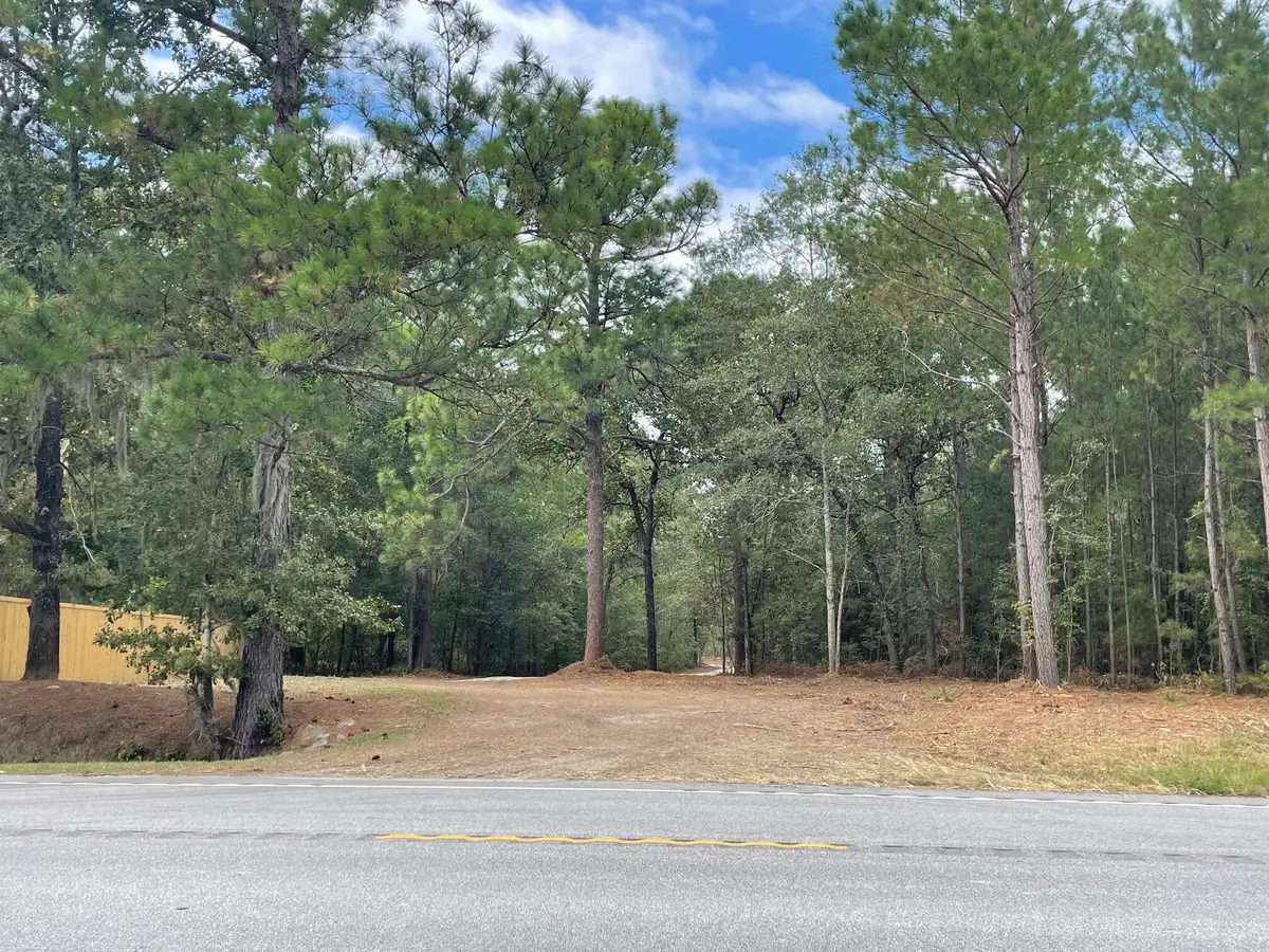 3 Hwy 45, Cross, SC 29436 - #1
