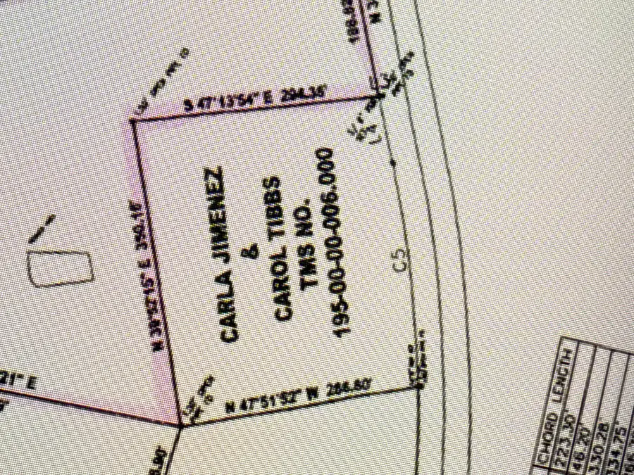 0 Delemar Highway, Ravenel, SC 29470 - Image #2