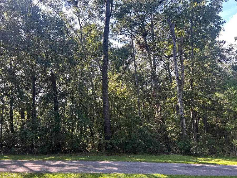 96 Barnaby, Seabrook, SC 29940 - #2