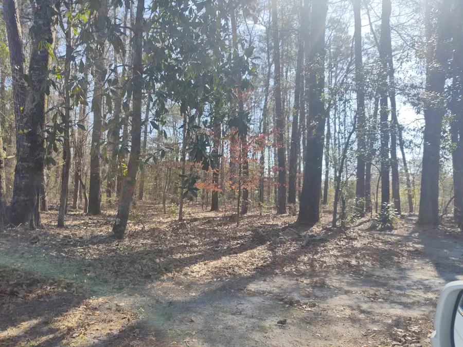 10839 Dorchester Road, Summerville, SC 29485 - Image #2