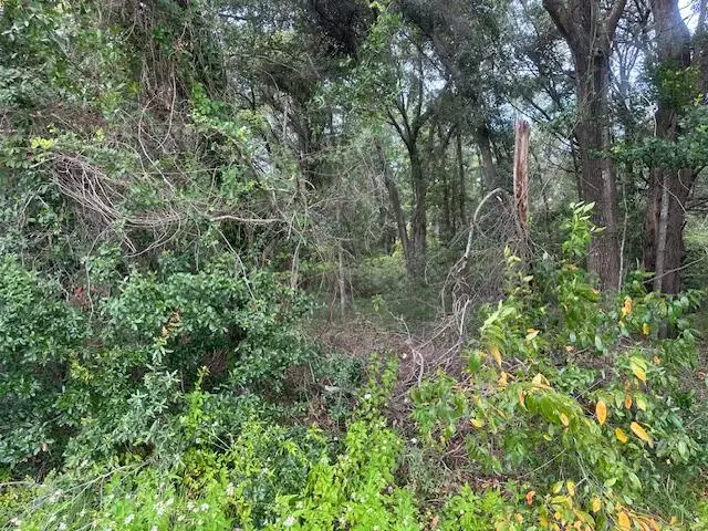 1236 Seaside Road, Saint Helena Island, SC 29920 - #3