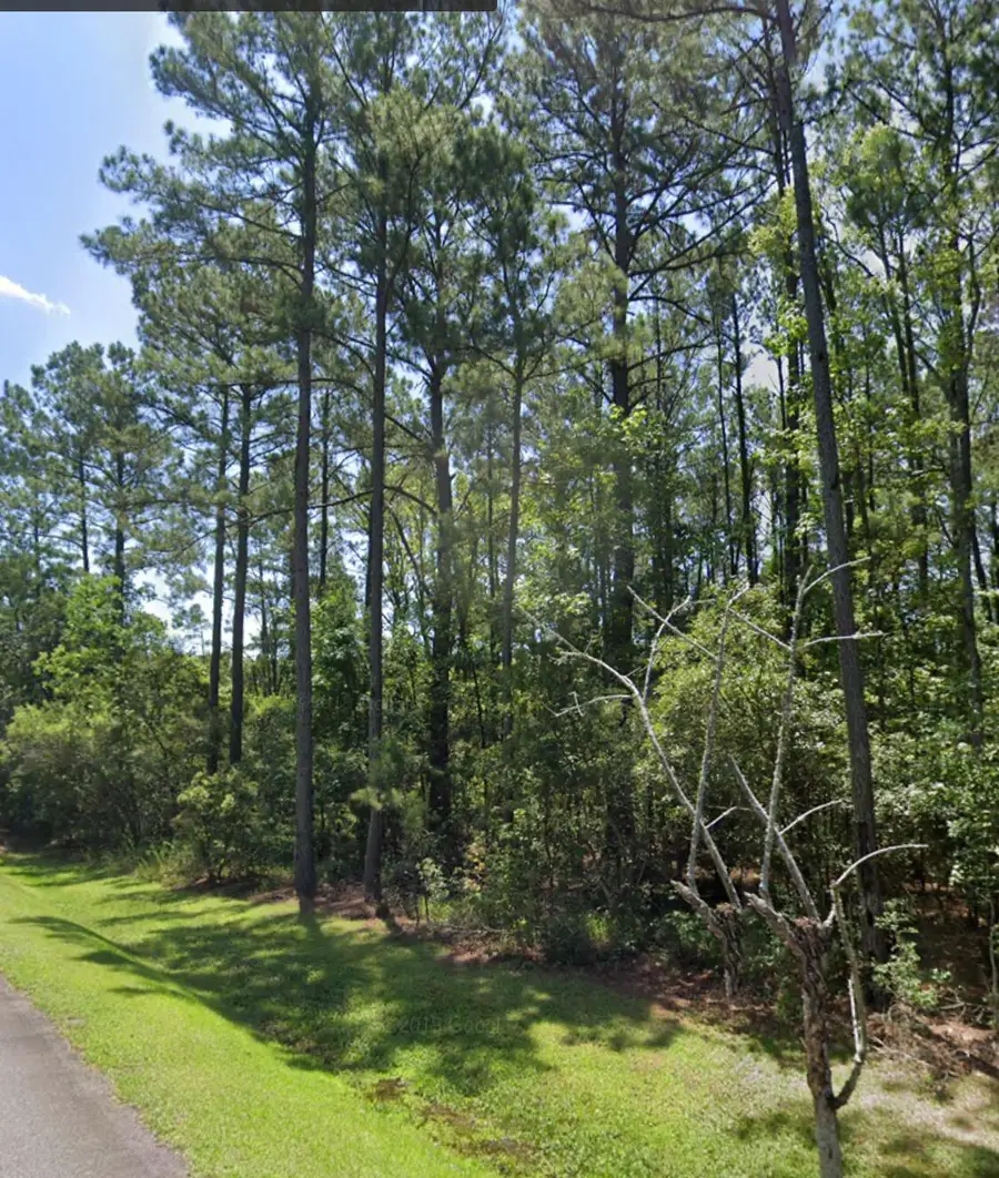 0 Sportsman Island Drive, Wando, SC 29492 - #3