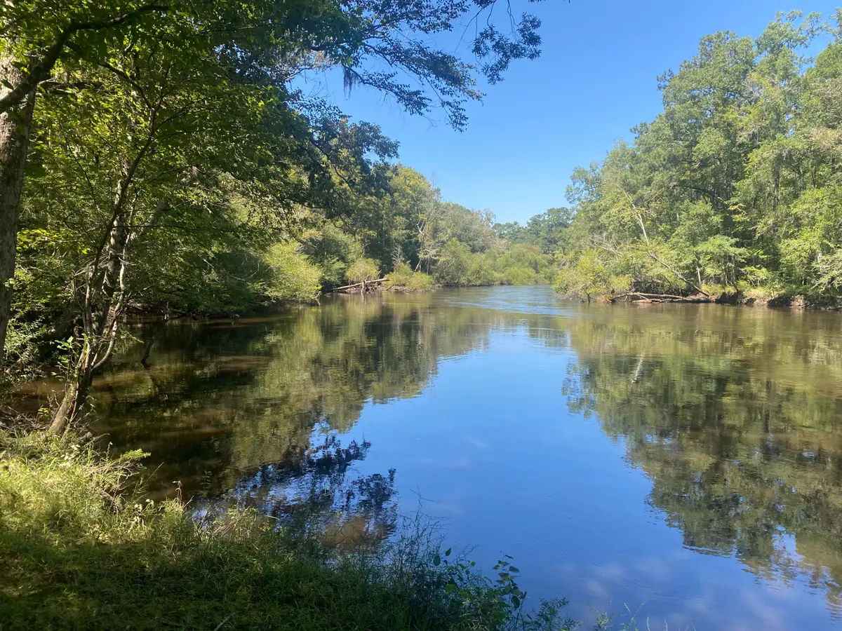 0 Hobbie Lane, Round O, SC 29474 - #1