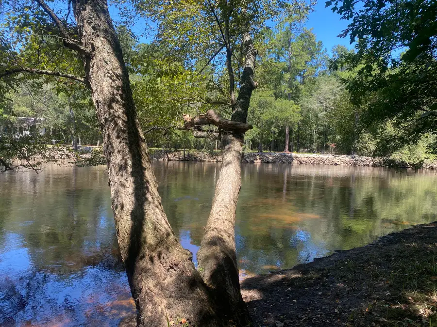 0 Hobbie Lane, Round O, SC 29474 - #2