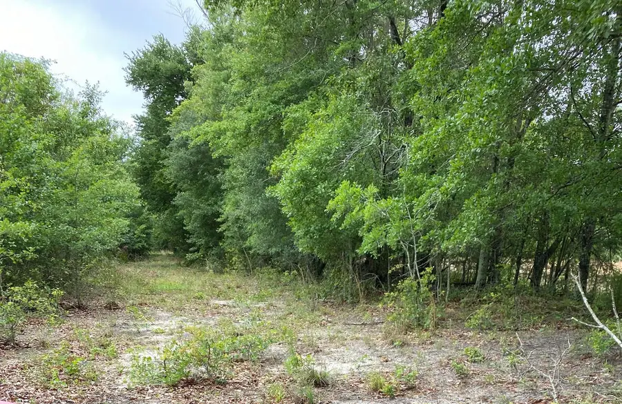 00 Salley Road, North, SC 29112 - Image #2