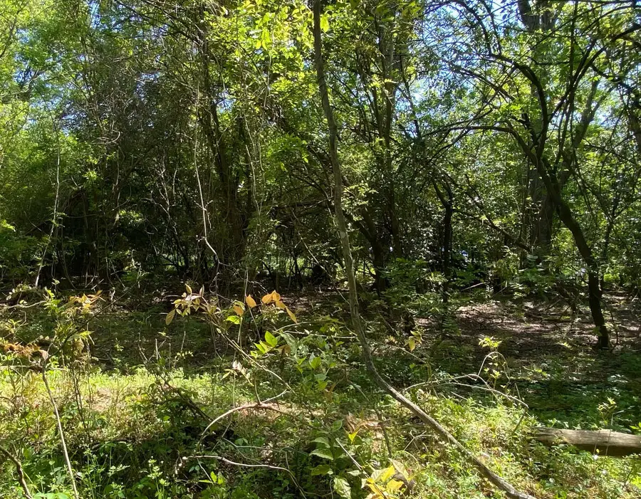 00 Salley Road, North, SC 29112 - Image #3