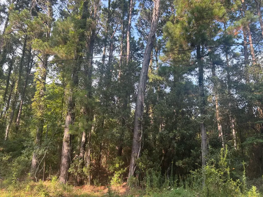 29 Harbor Breeze Drive, Saint Helena Island, SC 29920 - #2