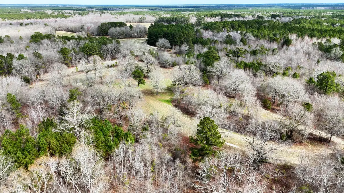 7998 Kenwood Road, Greeleyville, SC 29056 - #1