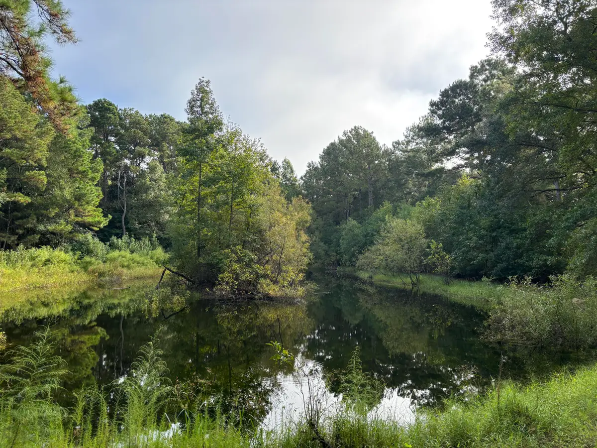 0 Providence Circle, Awendaw, SC 29429 - Image #1