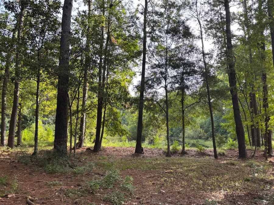 0 Providence Circle, Awendaw, SC 29429 - Image #3