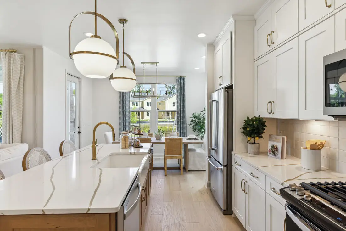 154 Claret Cup Way, Charleston, SC 29414 - #1