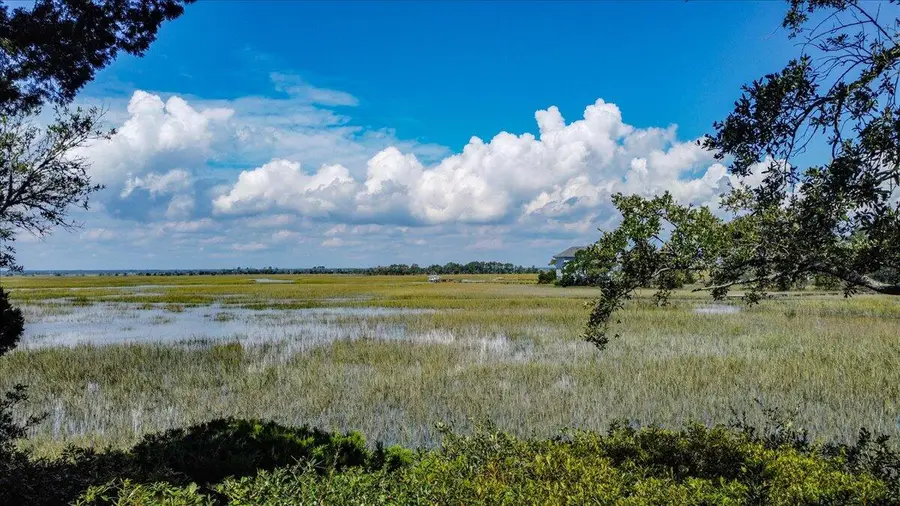 12 Marsh Island Lane, Isle Of Palms, SC 29451 - #3