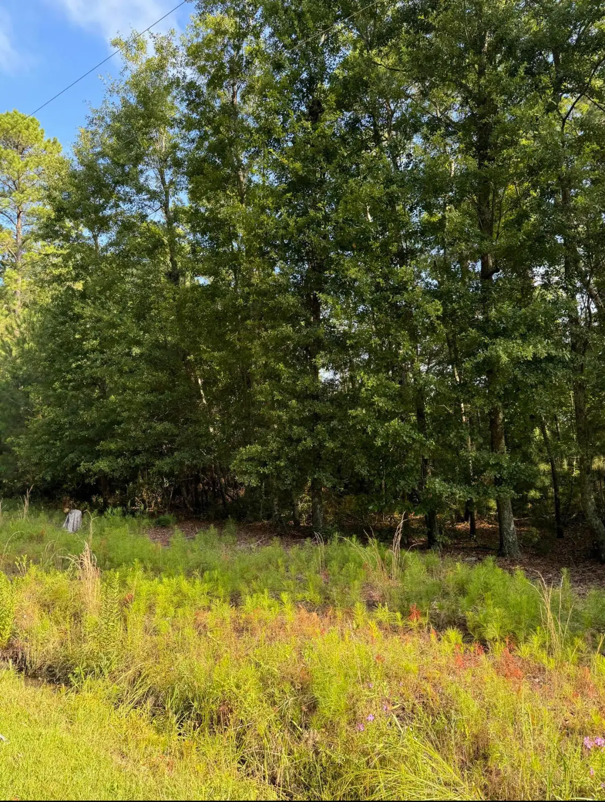 1042 Millies Way Drive, Moncks Corner, SC 29461 - Image #1