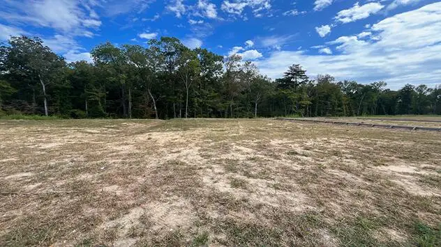 446 Tulip Poplar Drive, Moncks Corner, SC 29461 - #1