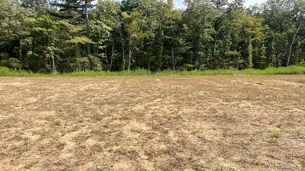 452 Tulip Poplar Drive, Moncks Corner, SC 29461 - #1