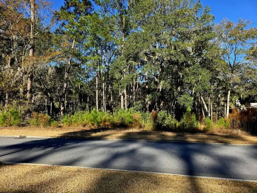 188 Vinson Road, Bluffton, SC 29910 - Image #2