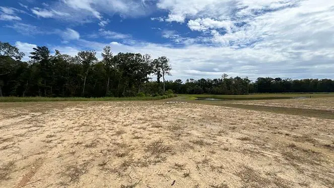 464 Tulip Poplar Drive, Moncks Corner, SC 29461 - #1