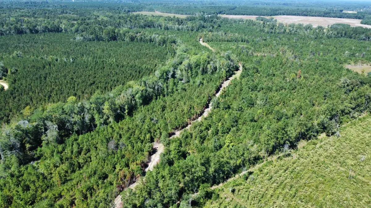 0 Beavers Pass Road, Smoaks, SC 29481 - Image #1