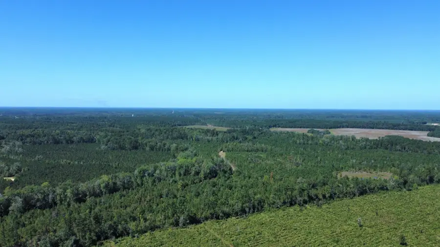 0 Beavers Pass Road, Smoaks, SC 29481 - Image #2