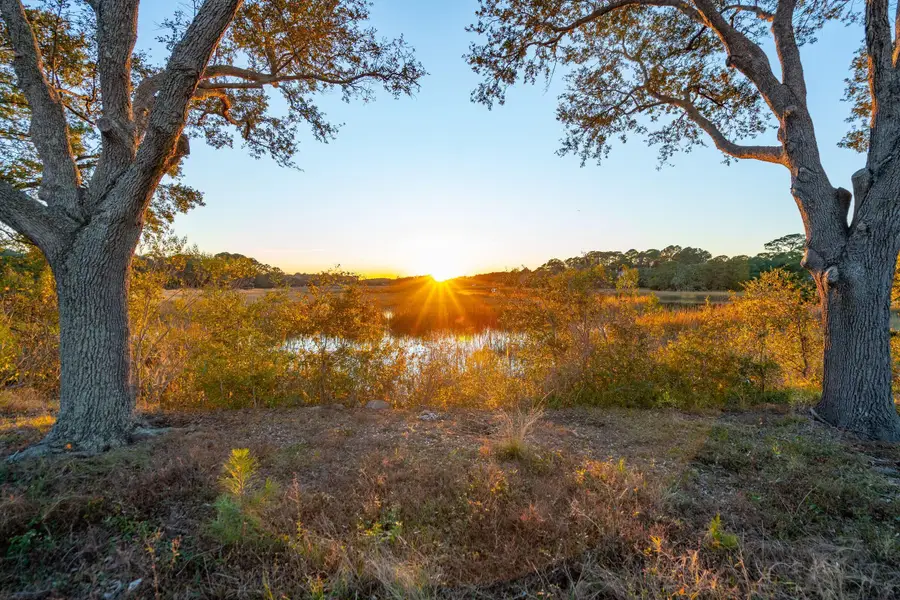 830 Curved Creek Court, Charleston, SC 29412 - Image #2