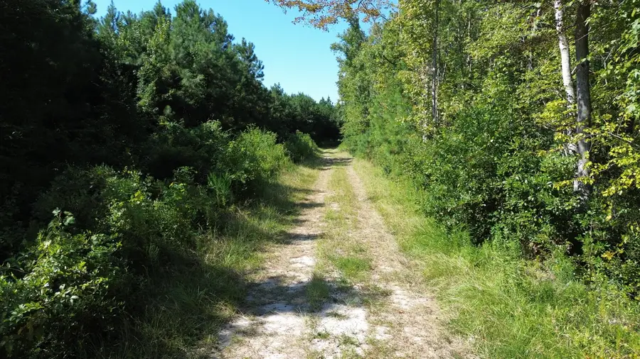 1 Lowcountry Highway, Ruffin, SC 29475 - #2