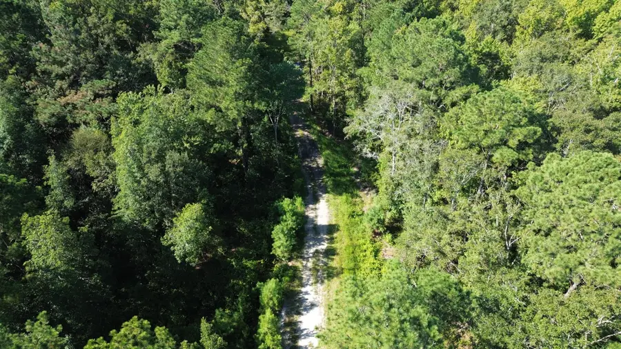 1 Lowcountry Highway, Ruffin, SC 29475 - #3