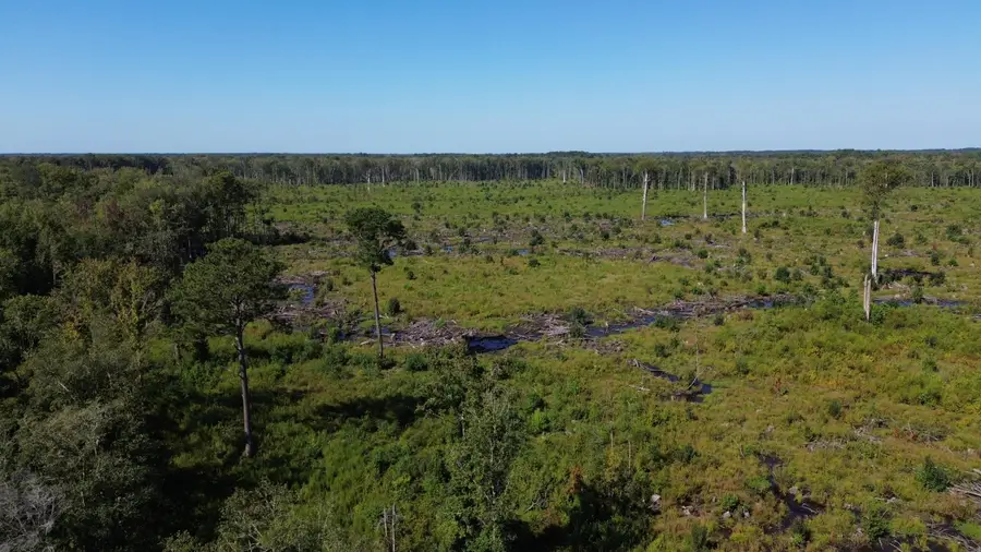 0 Hwy 63, Ruffin, SC 29475 - #2