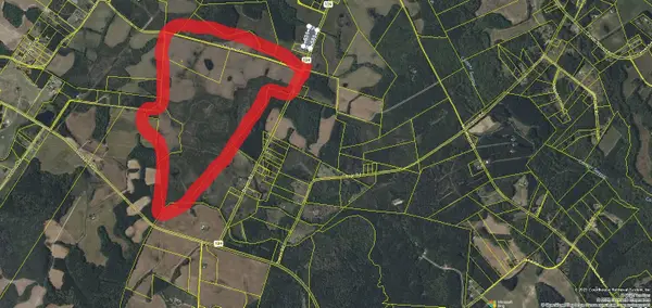 0 Blewer Street, Cope, SC 29038