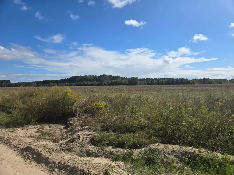 0 Blewer Street, Cope, SC 29038 - #2