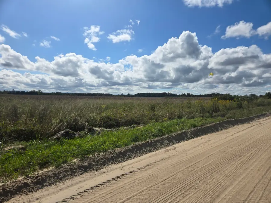 0 Blewer Street, Cope, SC 29038 - #3