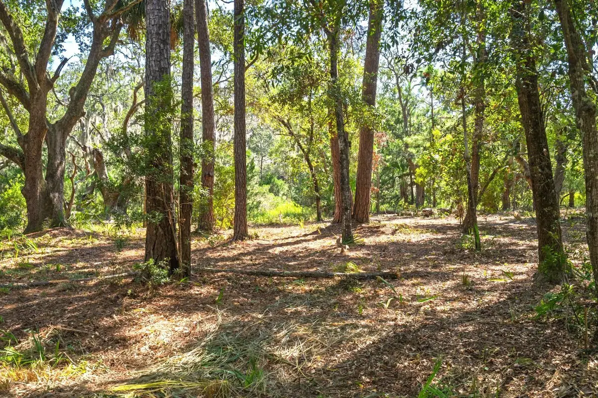 Lot 31 Foredeck Lane, Edisto Island, SC 29438 - Image #1