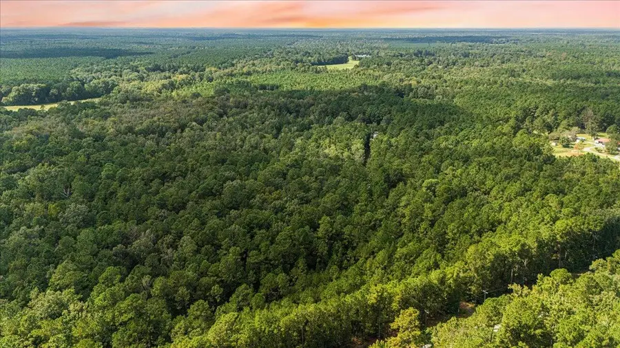 130 Tygerpaw Trail, Saint Stephen, SC 29479 - #2