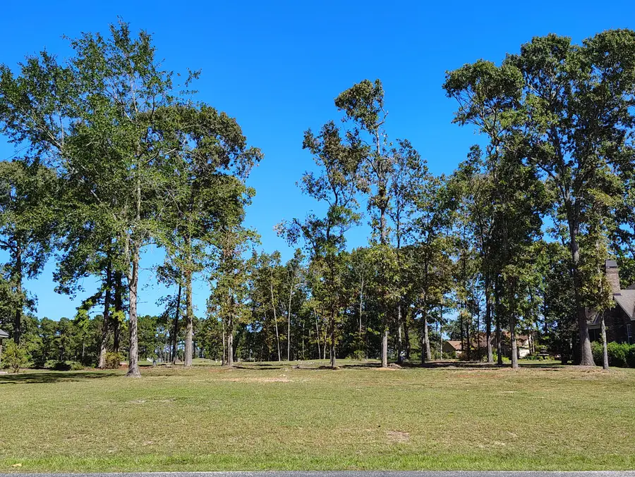 44 Ridge Lake Drive, Manning, SC 29102 - Image #2