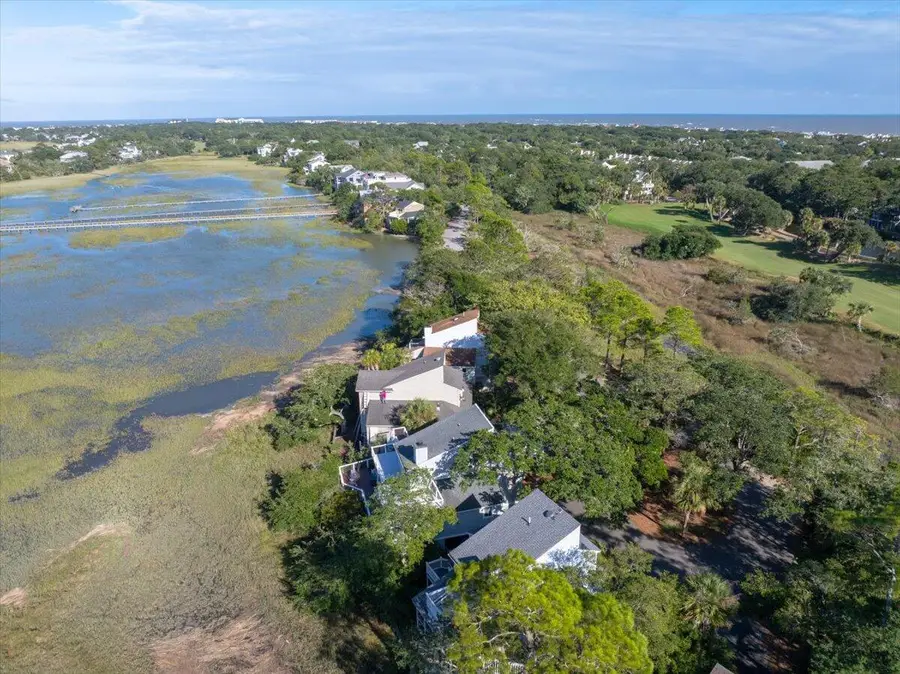 29 Marsh Island Lane, Isle Of Palms, SC 29451 - #2