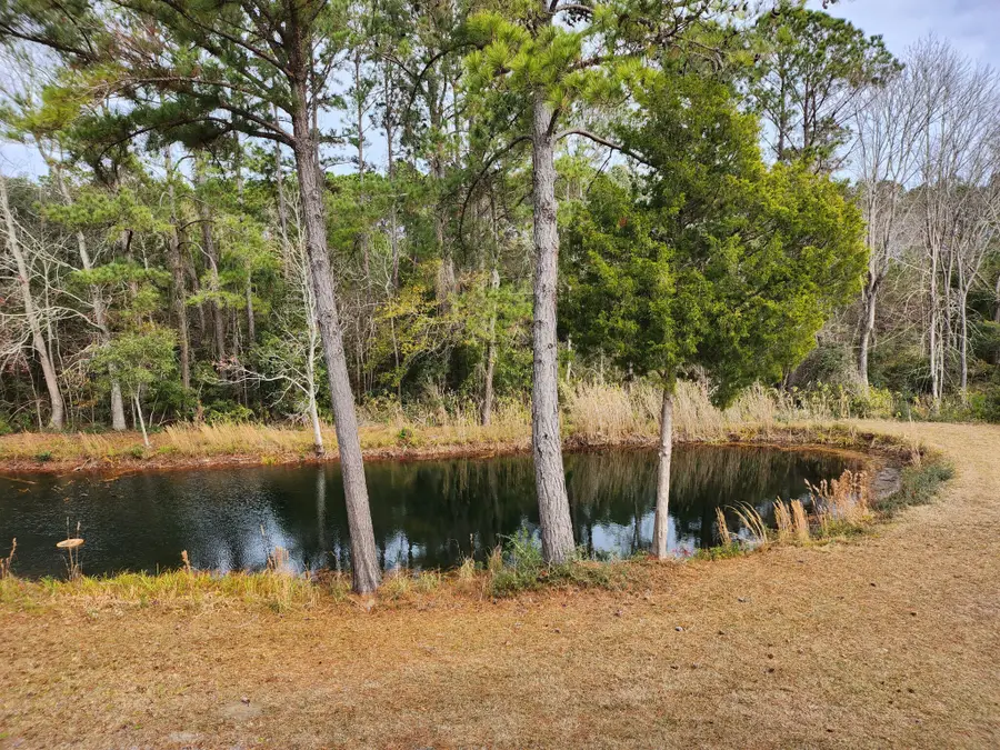 7997 Doar Road #C-2, Awendaw, SC 29429 - #3