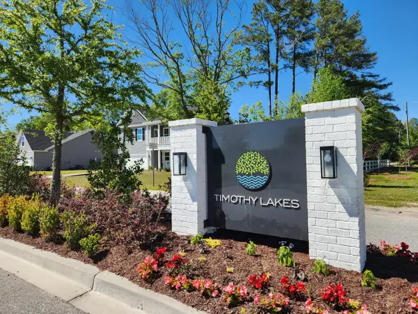 1540 Darby Meadow Lane, Ridgeville, SC 29472