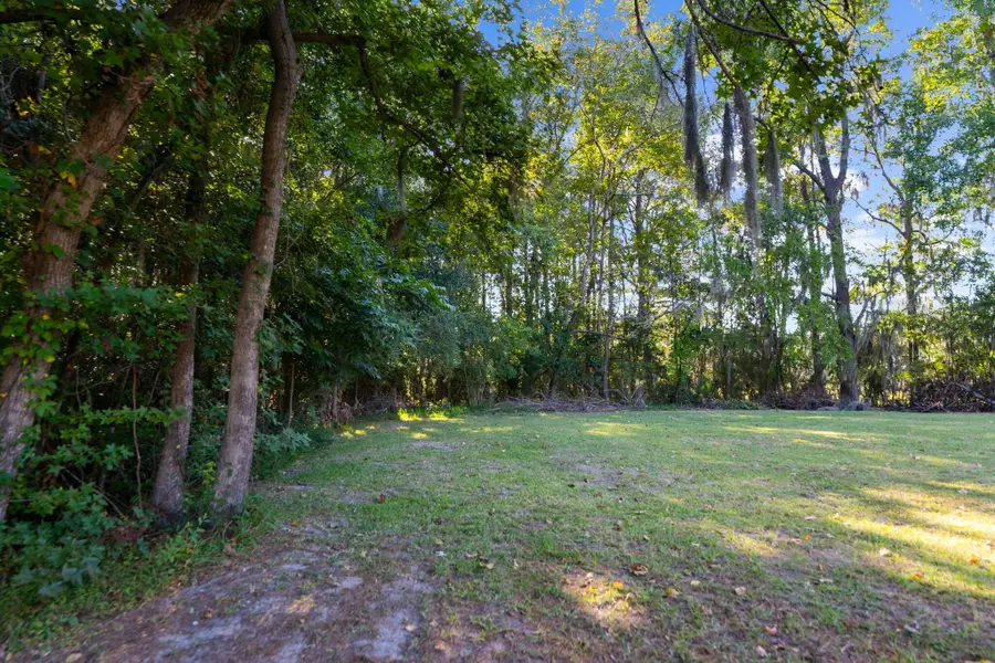 736 Savage Road, Charleston, SC 29414 - #3