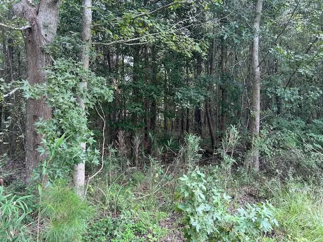 Lot 6 Sheep Island Road, Summerville, SC 29486 - Image #1