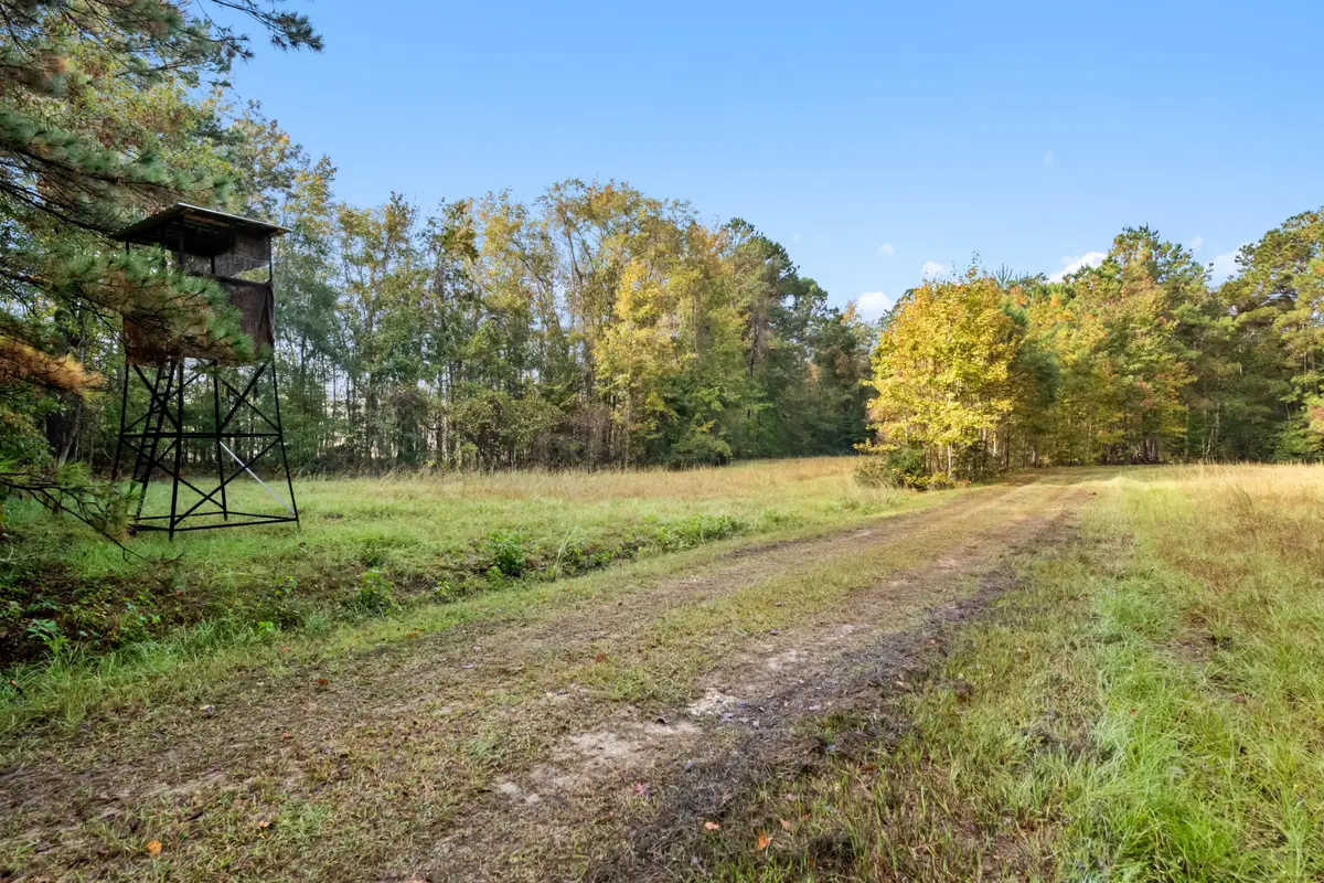 527 Acres Spring Grove Road, Adams Run, SC 29426 - Image #1