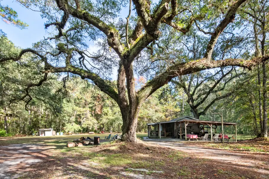 527 Acres Spring Grove Road, Adams Run, SC 29426 - Image #3